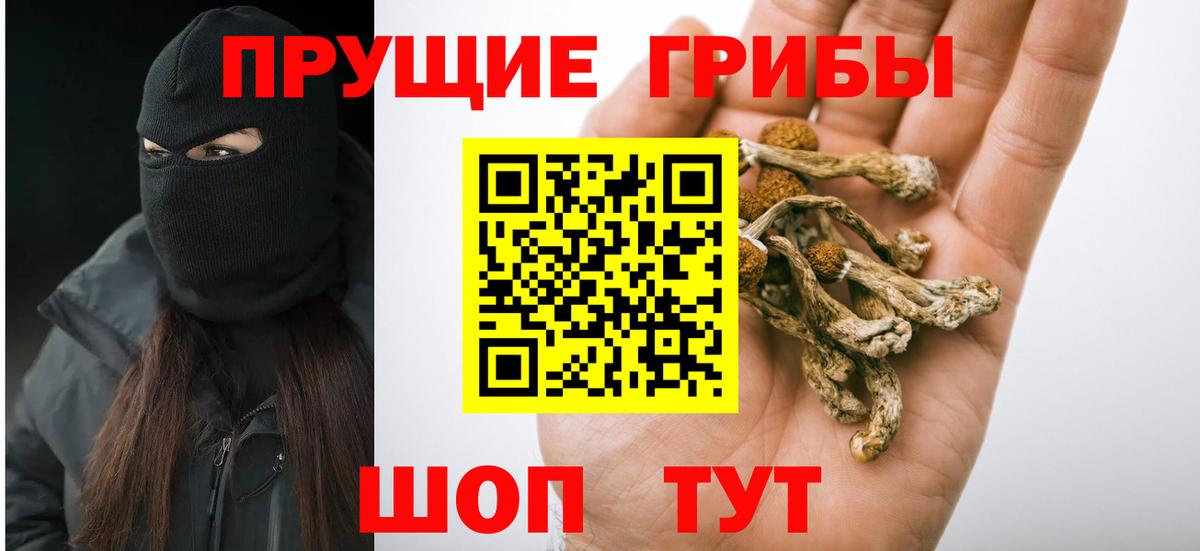 Пыть-Ях  Псилоцибиновые грибы мухоморы  Вход с VPN  Псилоцибиновые грибы MAGIC MUSHROOMS 